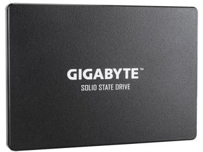 Твердотельный накопитель GigaByte 256Gb GP-GSTFS31256GTND